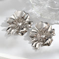 Aretes color plata