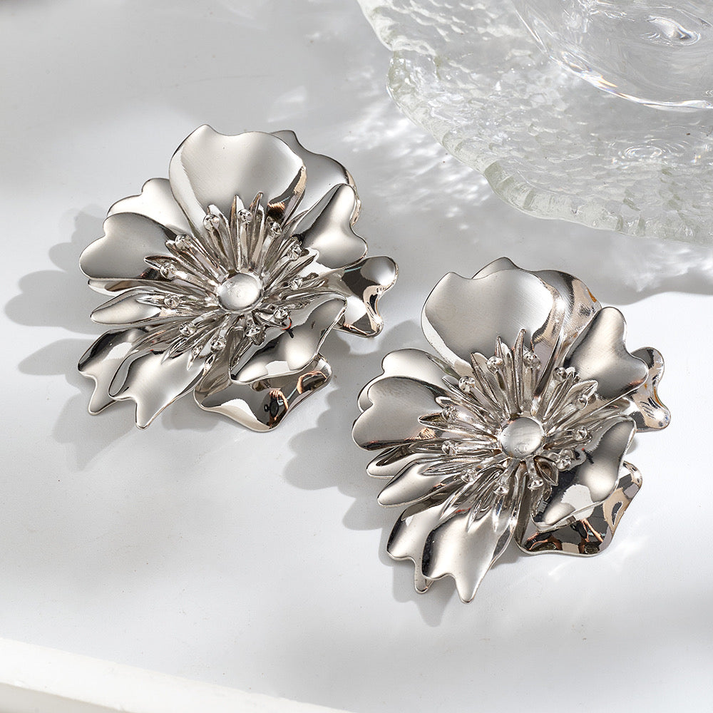 Aretes color plata